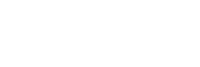 019.07-Logo WizVille CMJN-04
