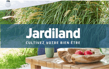 WizVille-et-Jardiland-1 WizVille-et-Jardiland-1