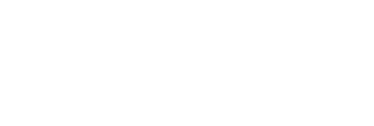 Logo WizVille Blanc